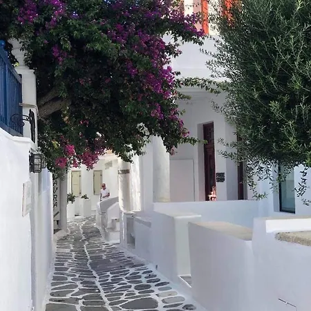 Hidden Serenity Appartement Mykonos Town